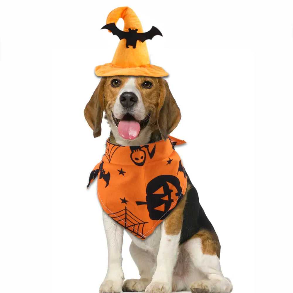 Dog in Halloween bat hat with yellow pumpkin bib