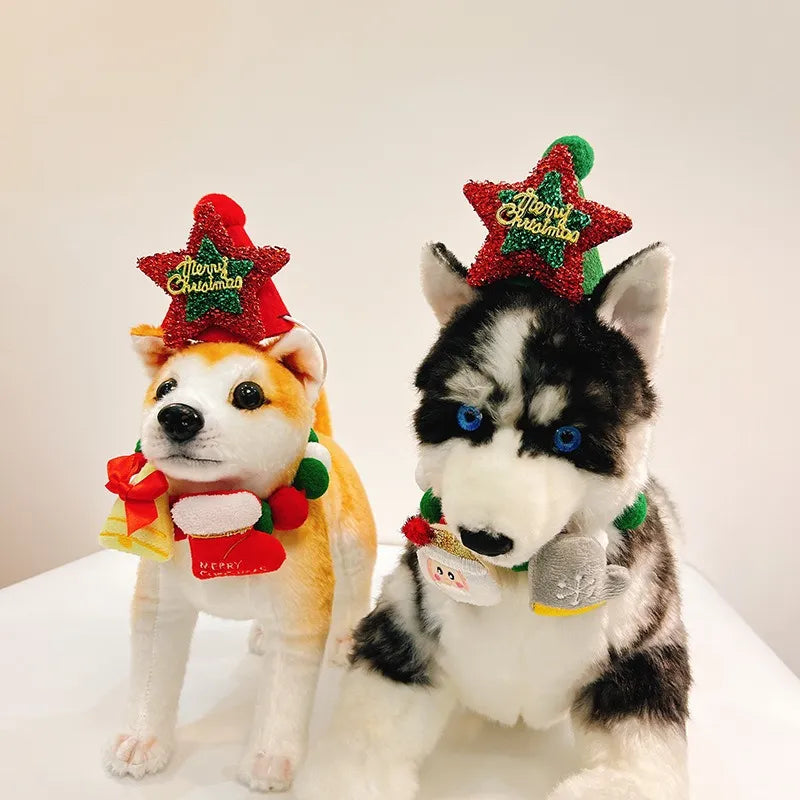 Dog wearing Christmas collar and matching festive holiday hat