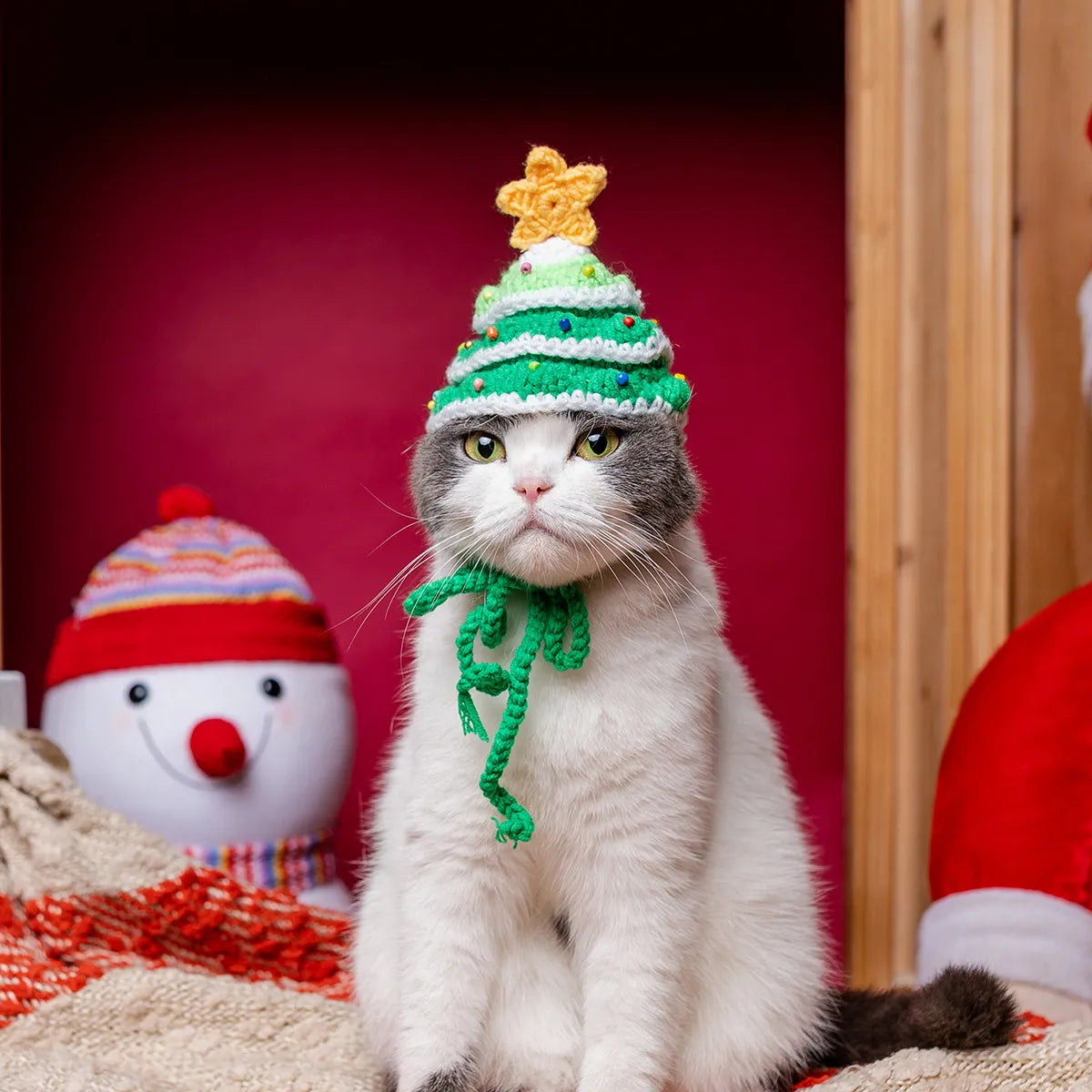 Cat wearing green Christmas tree hat with gold star
