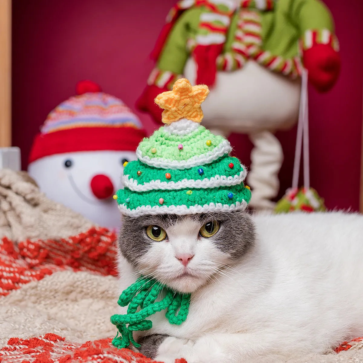 Cat modeling red Christmas tree hat in festive setting