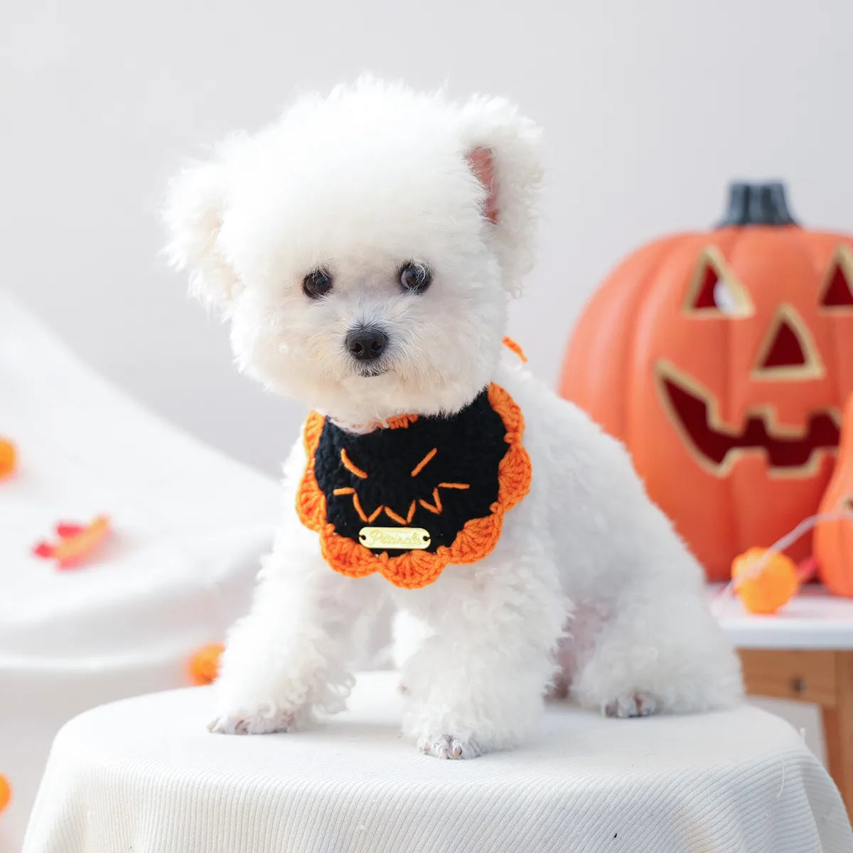Close-up of black pumpkin design gold-label yarn bib, Halloween pet costume.