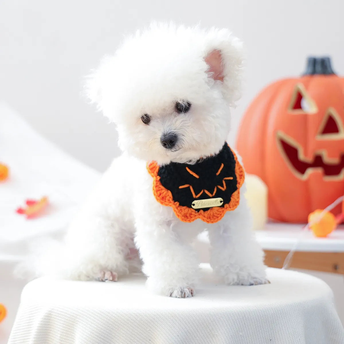 Gold-label yarn bib with black pumpkin design, Halloween accessory for pets.