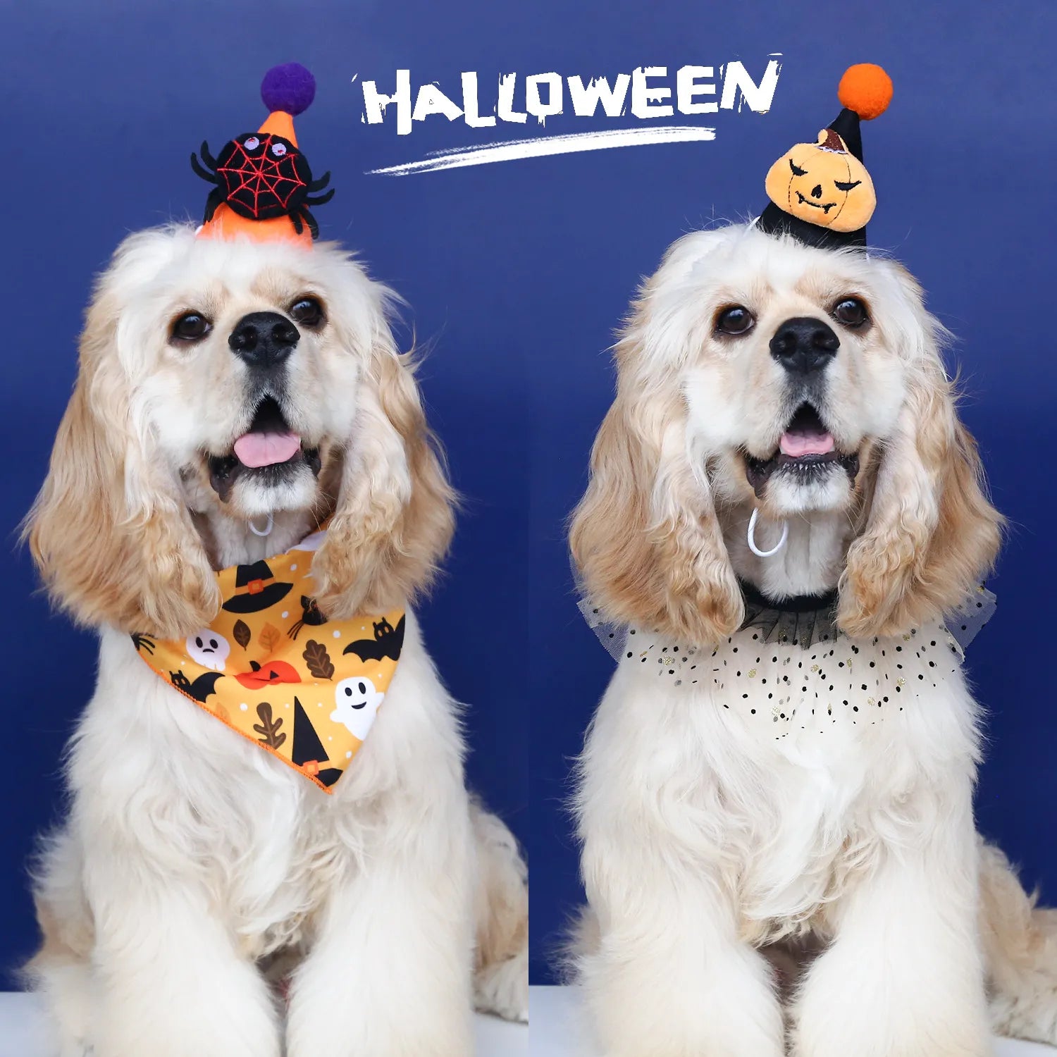 Halloween Pet Costume Set