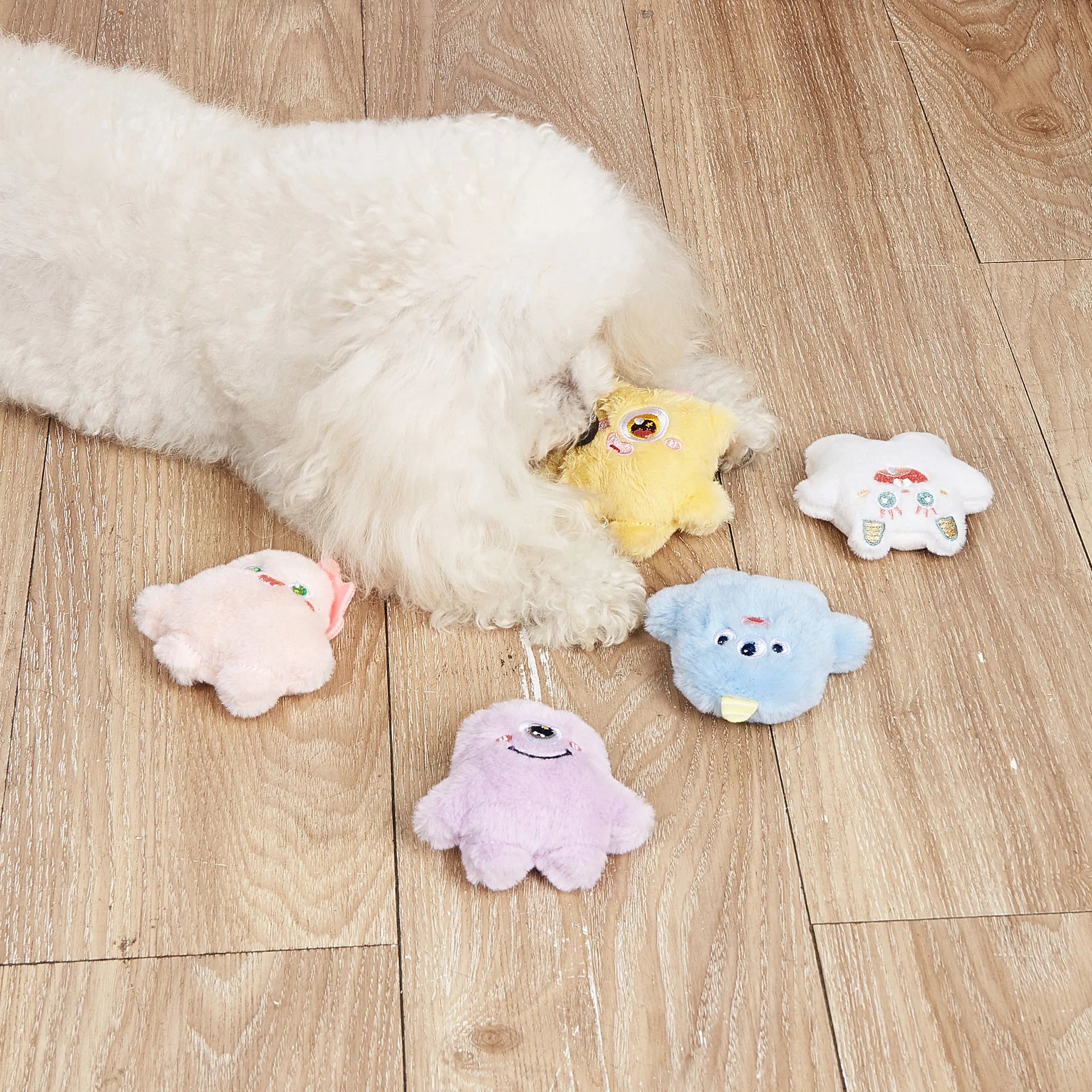 Dog playing with plush one-eyed pet toys (scene 2)