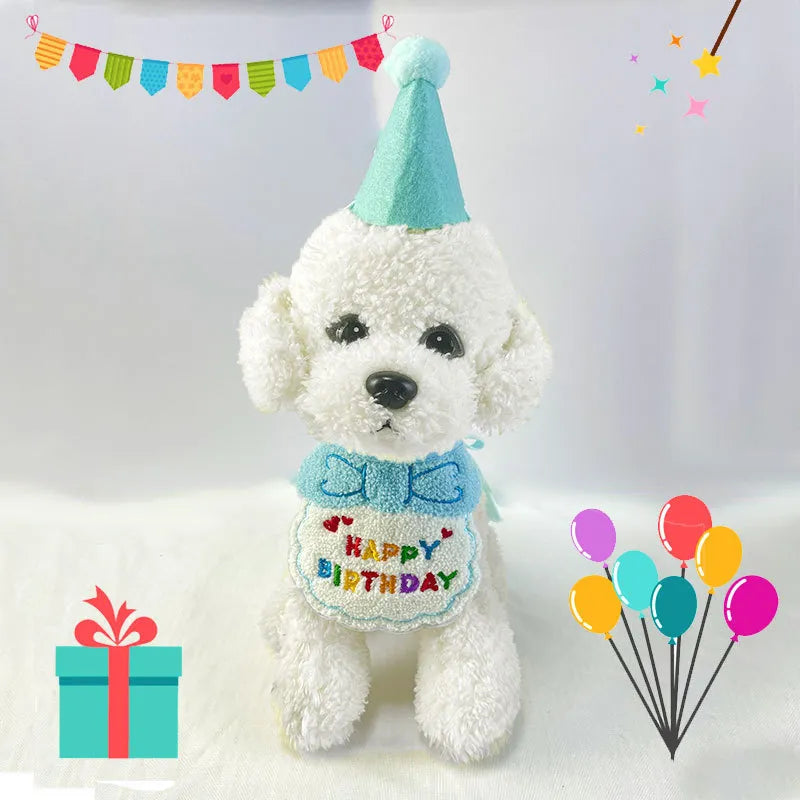 Single dog wearing birthday bib and matching hat