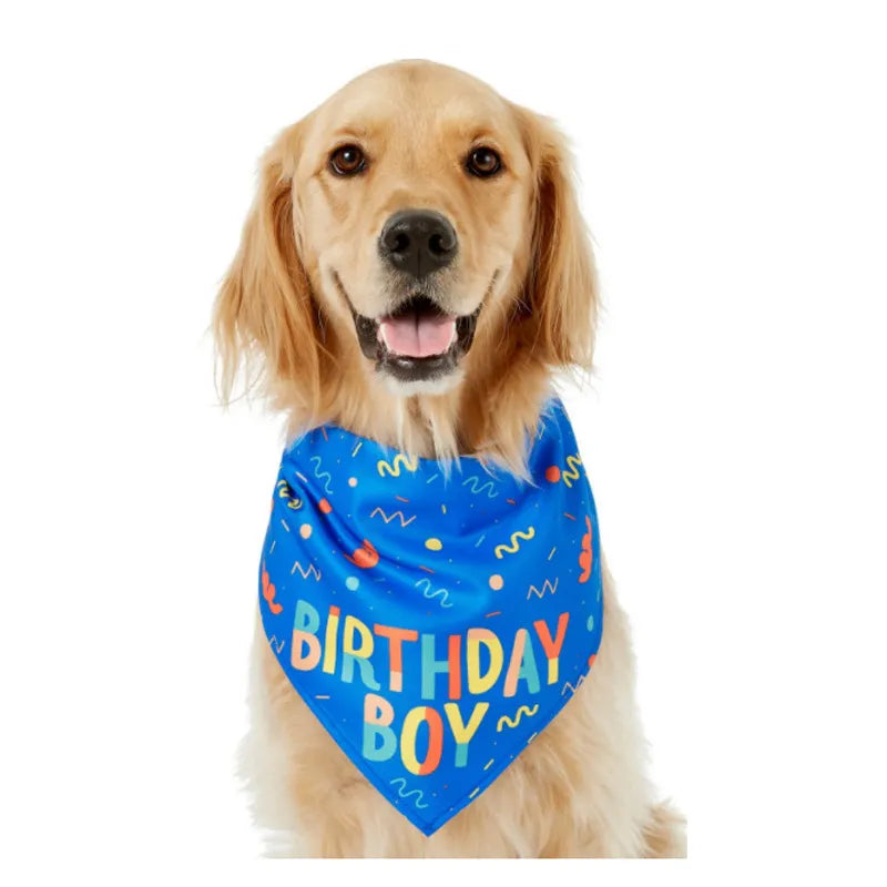 Dog wearing blue birthday bandana
