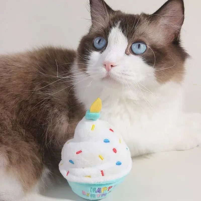Cat playing with plush birthday cake toy
