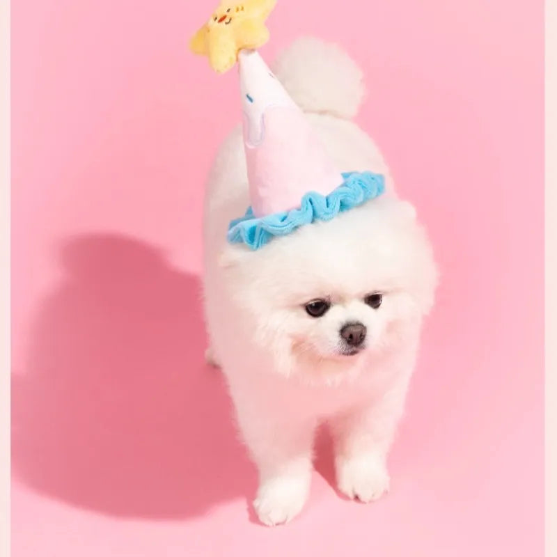 Dog wearing birthday hat