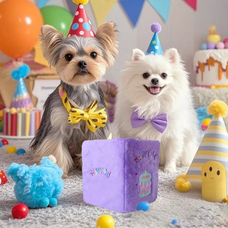 Dog playing with birthday book plush toy