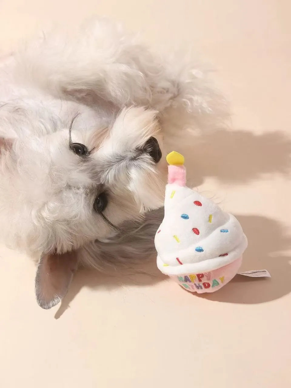 Pet chewing plush birthday cake toy