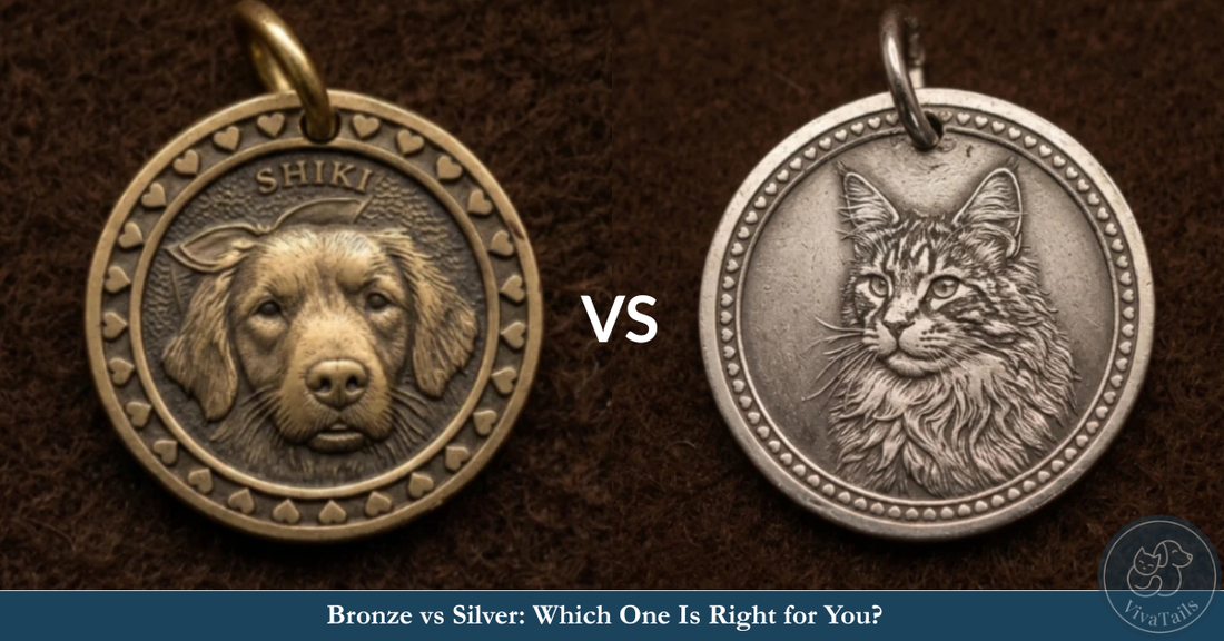 Bronze vs Silver Pet Pendants: Which One Is Right for You? — VivaTails