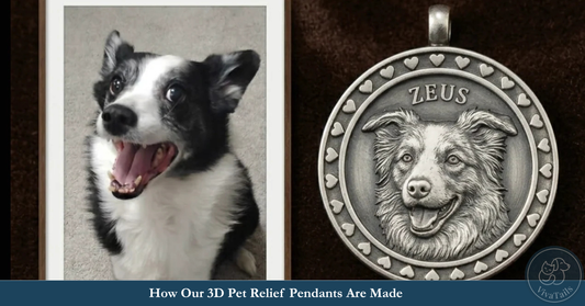 How Our 3D Pet Relief Pendants Are Made: 20 Steps From Photo to Forever