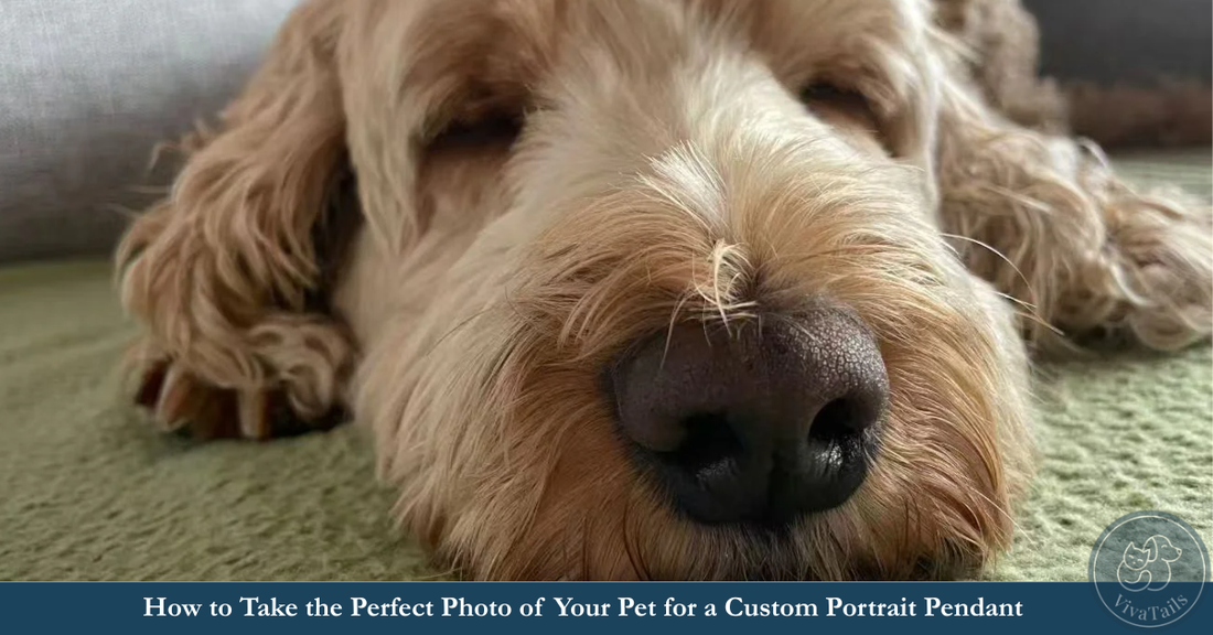 How to Take the Perfect Photo of Your Pet for a Custom Portrait Pendant