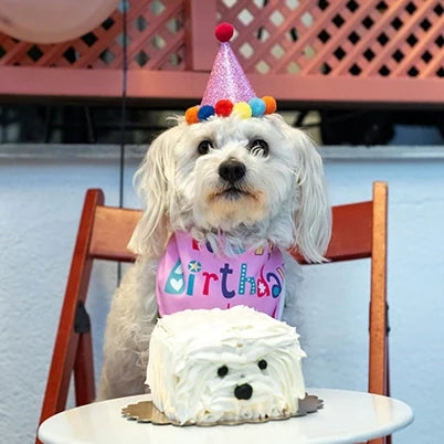 Party Pawty Sets Series