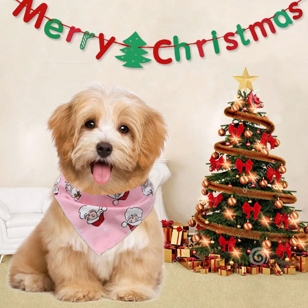 Dog in front of Christmas tree wearing holiday bandana