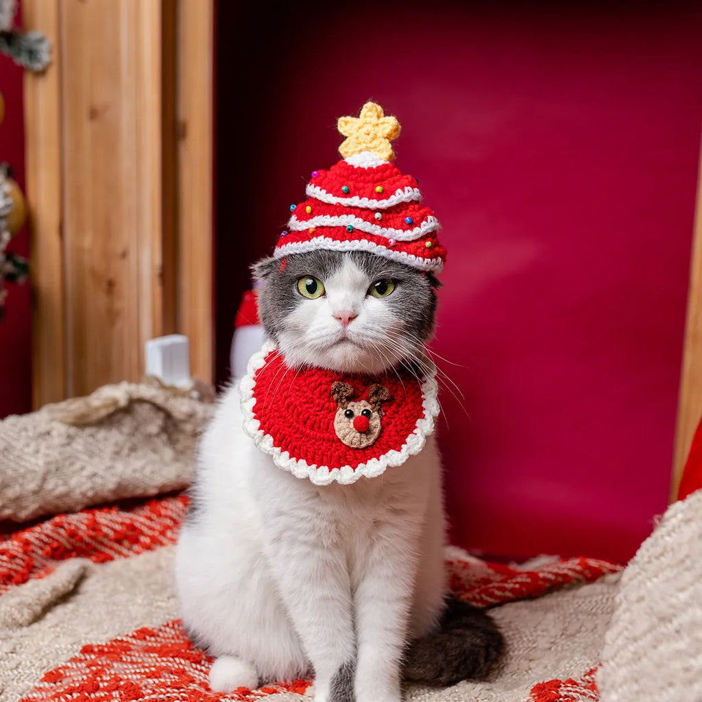 Cat wearing red Christmas tree hat with gold star