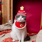 Cat wearing red Christmas tree hat with gold star
