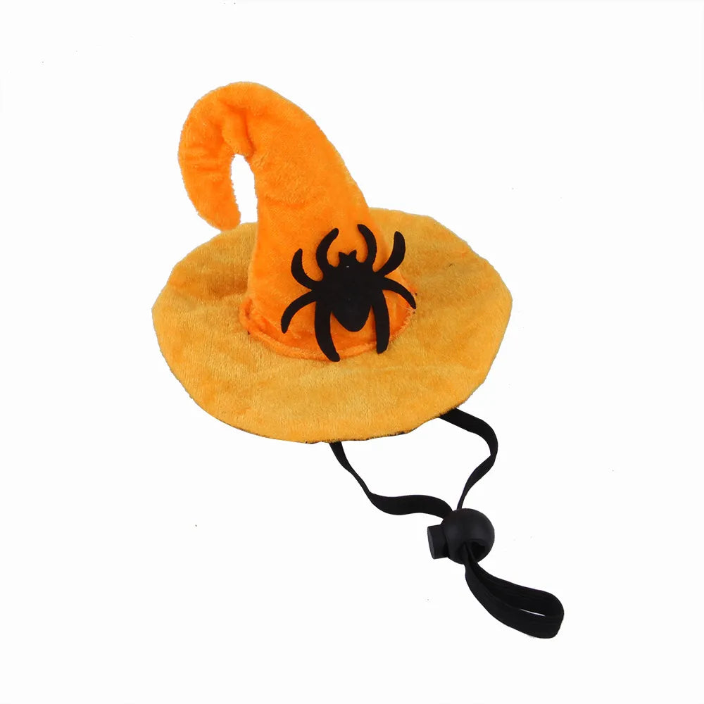 Halloween pet hat with black spider