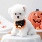 Close-up of black pumpkin design gold-label yarn bib, Halloween pet costume.

