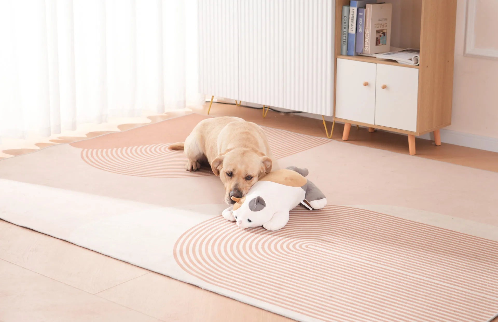 Heartbeat Buddies – Ragdoll Cat