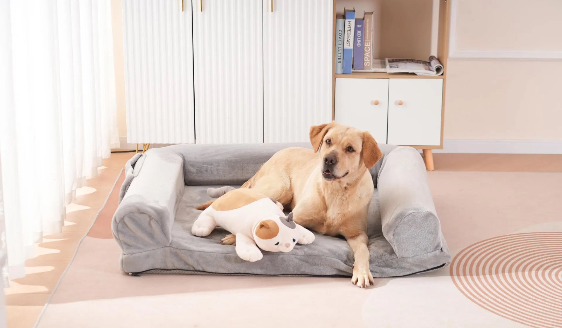 Heartbeat Buddies – Ragdoll Cat