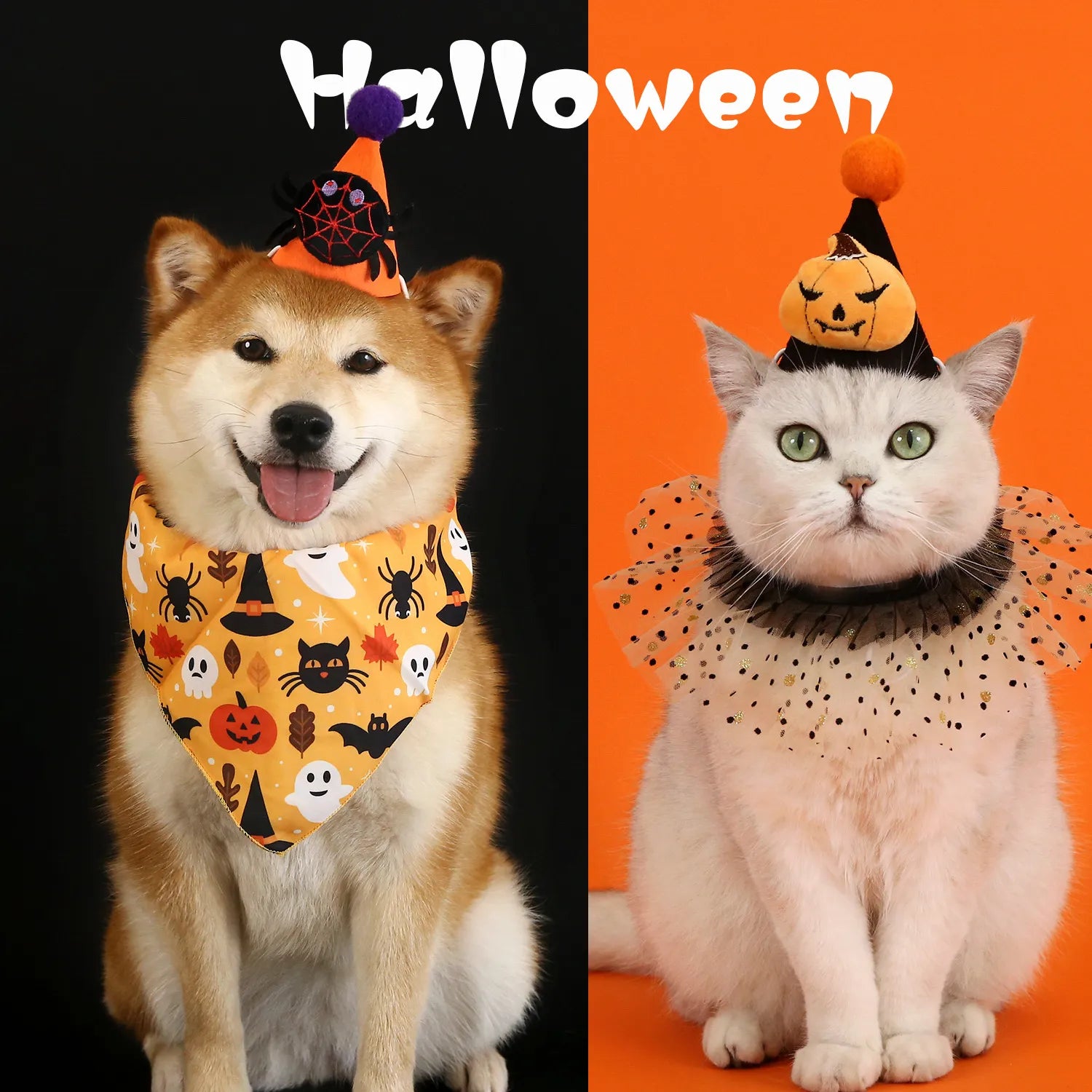 Halloween Pet Costume Set