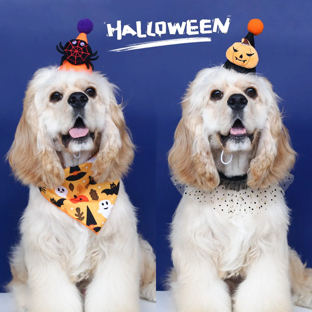 Halloween Pet Costume Set