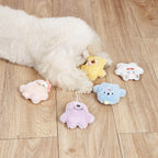 Dog playing with plush one-eyed pet toys (scene 2)
