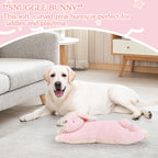 Heartbeat Buddies – Bunny