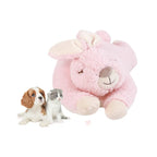 Heartbeat Buddies – Bunny