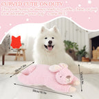 Heartbeat Buddies – Bunny