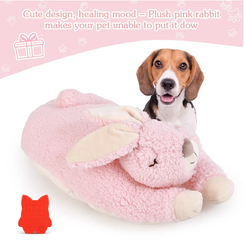 Heartbeat Buddies – Bunny