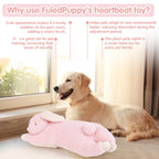 Heartbeat Buddies – Bunny