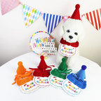 Dogs wearing colorful birthday bib and hat sets