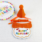 Orange birthday bib and party hat set for pets
