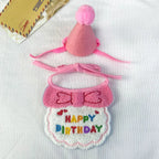 Pink birthday bib and party hat set for pets
