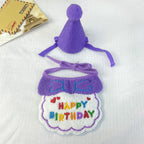 Purple birthday bib and party hat set for pets