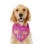 Pink birthday bandana for dogs
