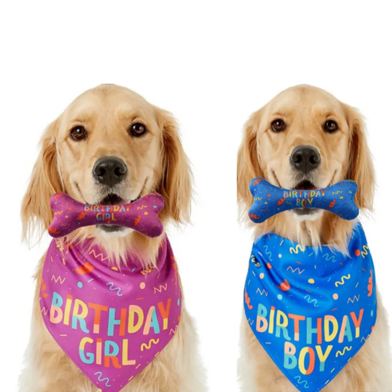 Dogs wearing birthday bandanas set
