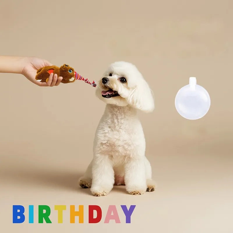 Small dog chewing birthday party toy set