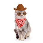 Cat wearing brown cowboy hat and red bandana