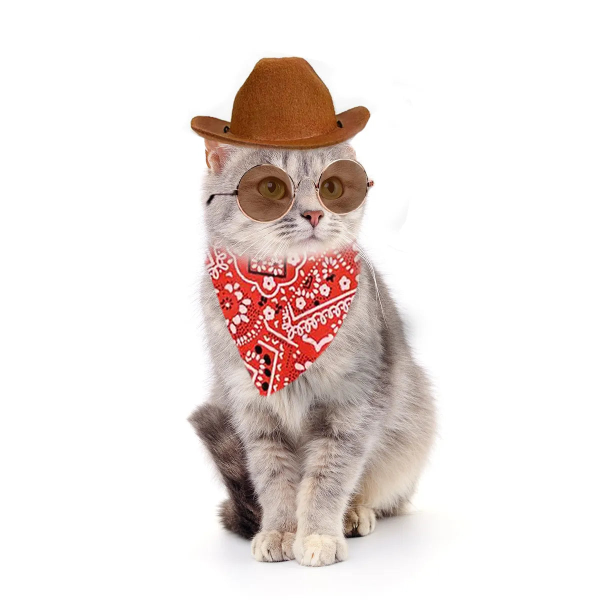Cat wearing brown cowboy hat and red bandana