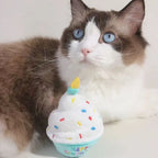 Cat playing with plush birthday cake toy