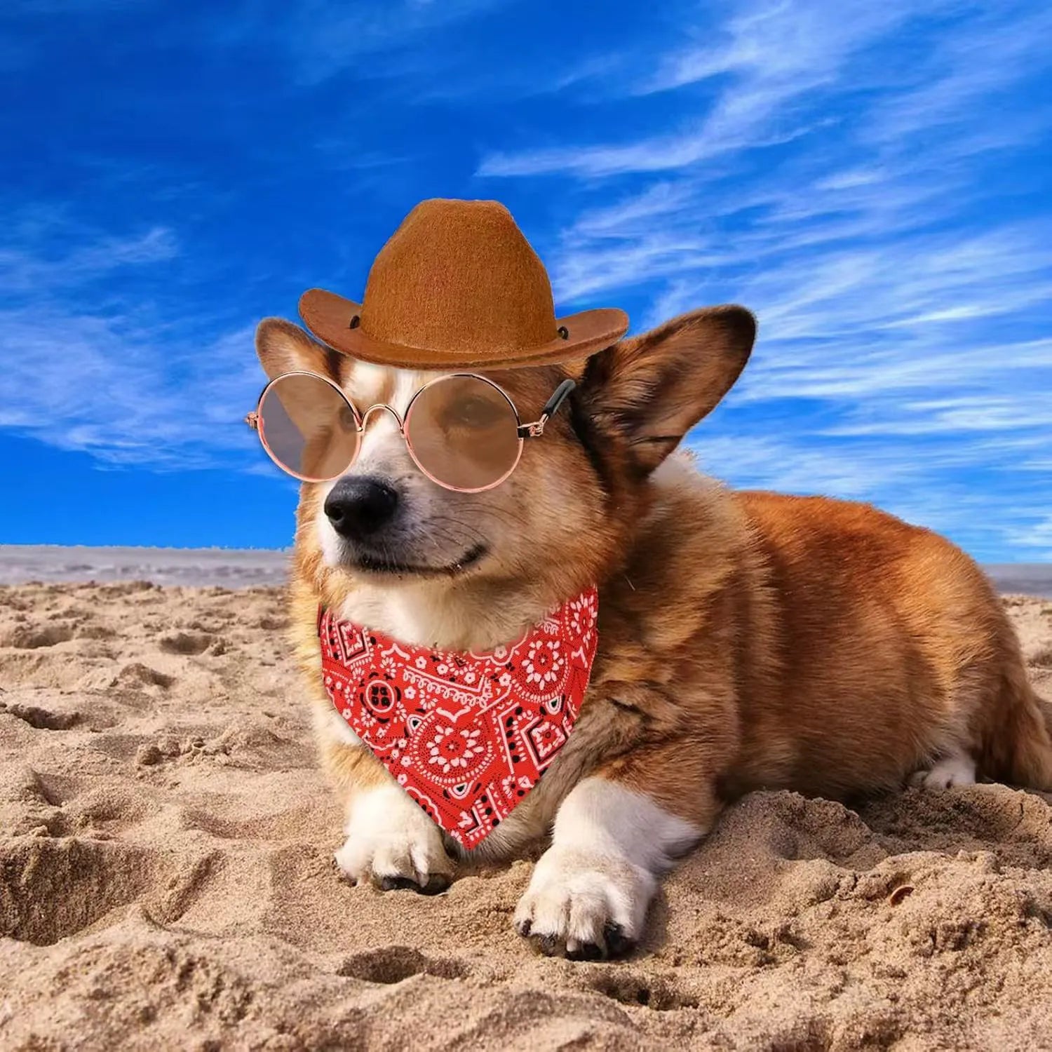 Corgi dog wearing cowboy hat and red bandana on the beach