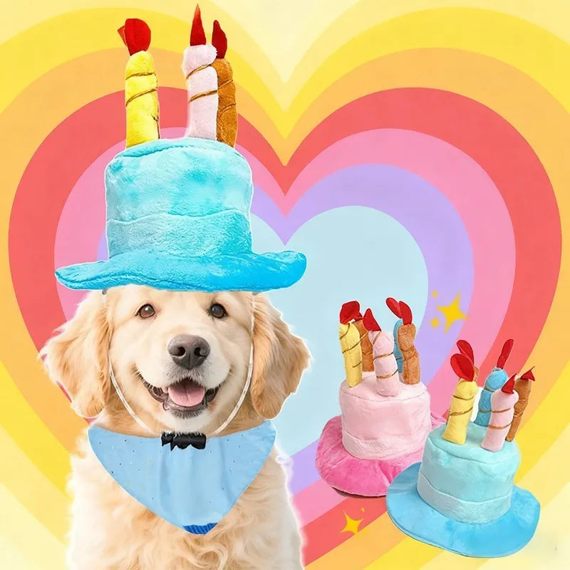 Dogs wearing birthday cake hats