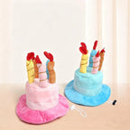 Dogs showing birthday hat set