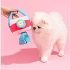 Dog playing with plush squeaky toy