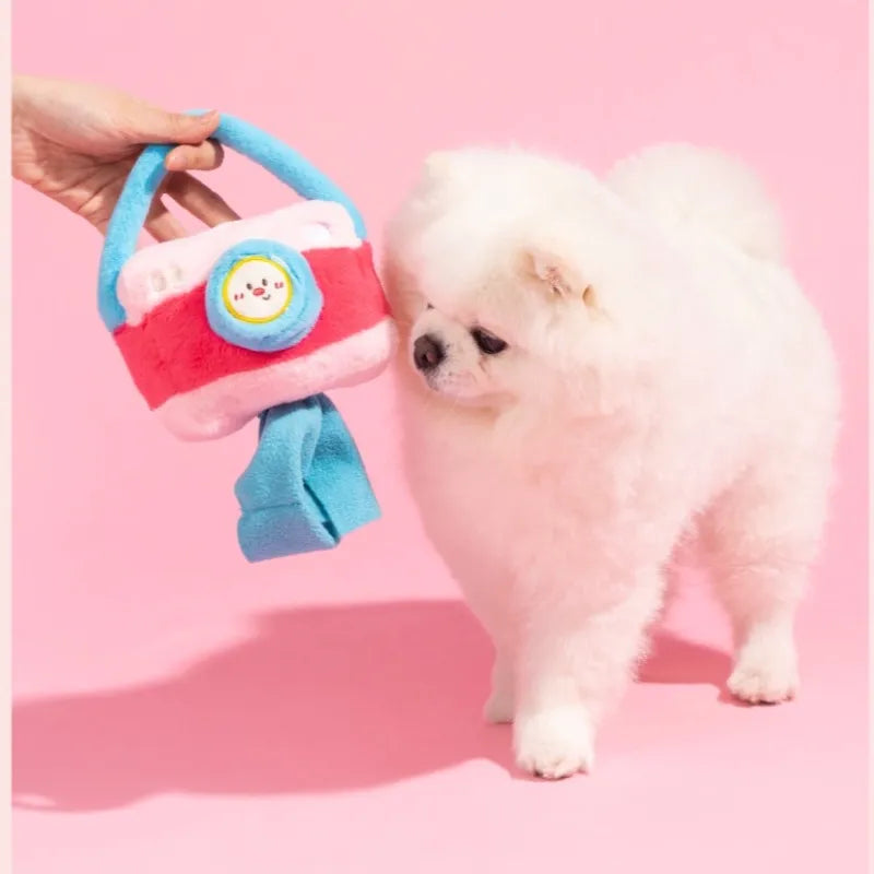 Dog playing with plush squeaky toy