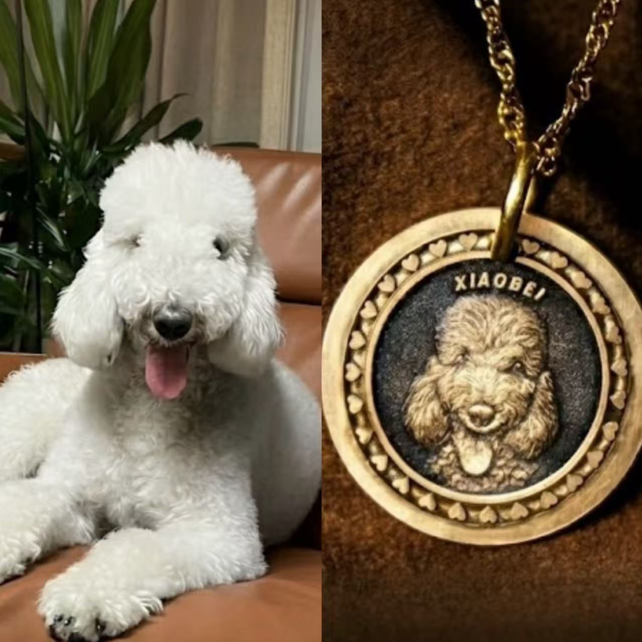 Before and after — pet photo transformed into 3D bronze relief pendant