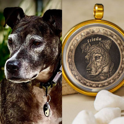 Dog photo compared with bronze pendant in glass display case